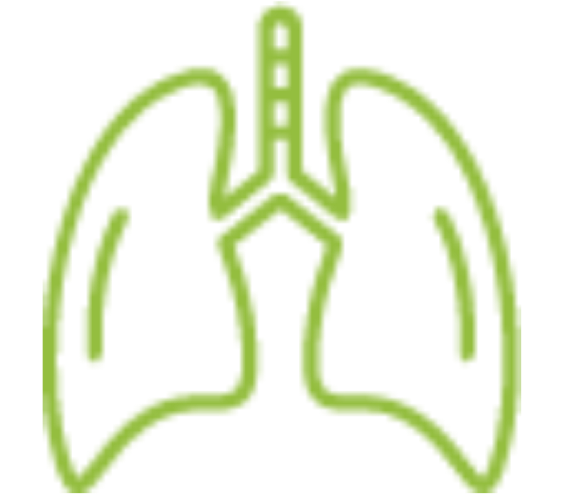 Icon Lunge Infektion