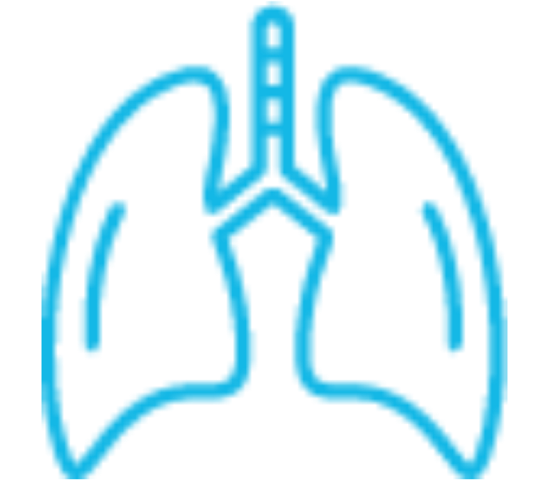 Icon Lunge Infektion